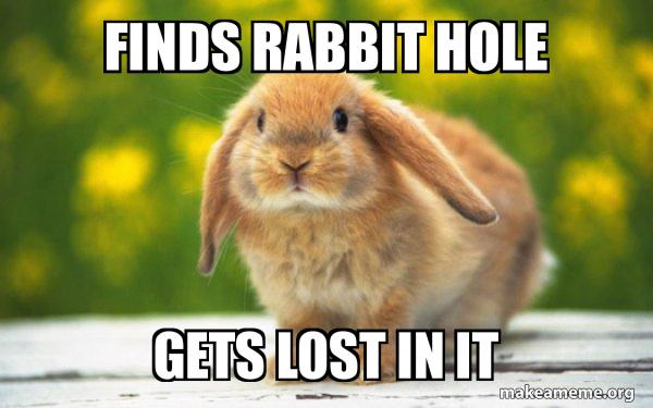 Finds Rabbit Hole. Gets lost in it.